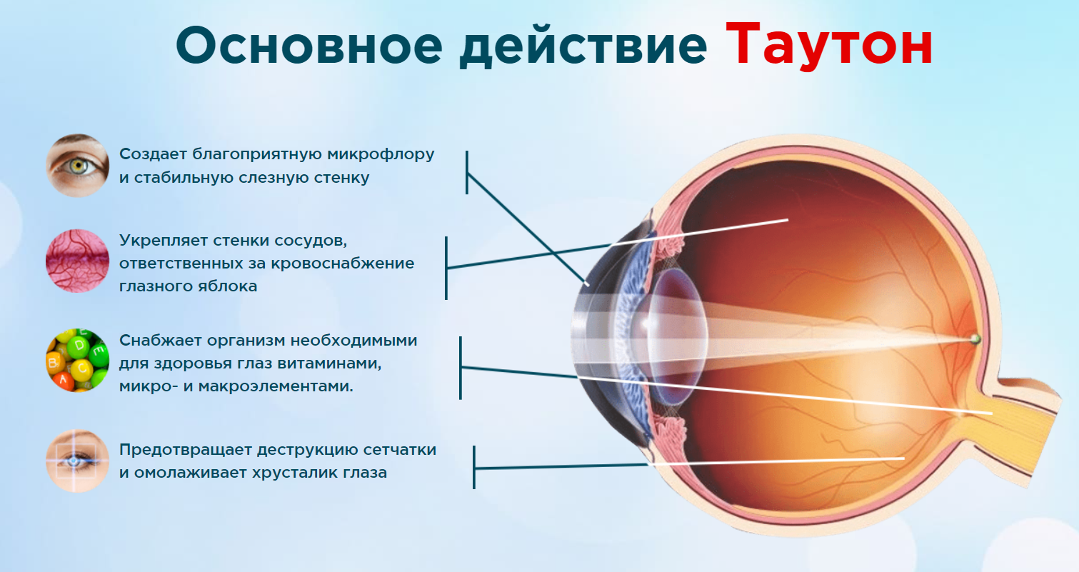 Око инструкция. Таутон. Таутон лекарство для глаз. Таутон биомедикалфарм. Таутон 300.