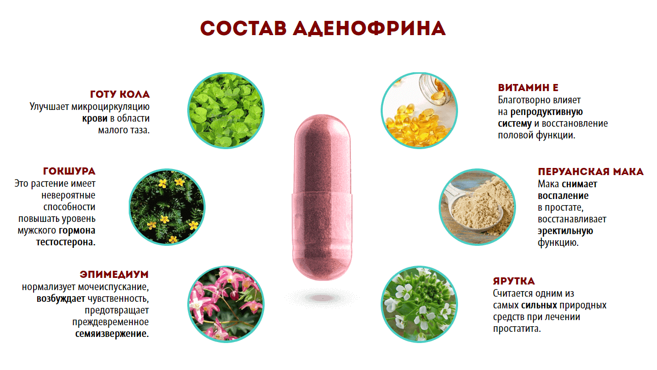 Как восстановить простату. Состав Аденофрина. Предстакапс. Таблетки Аденофрин. Лекарство Предстакапс.