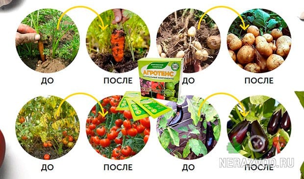 Агротенс для урожая