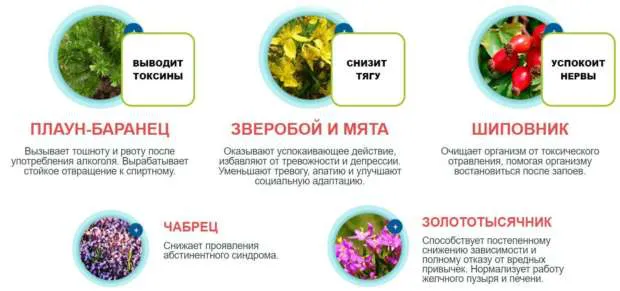 Состав препарата