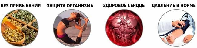 Артериоле действие
