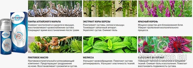 Крем Артонин для подвижности суставов