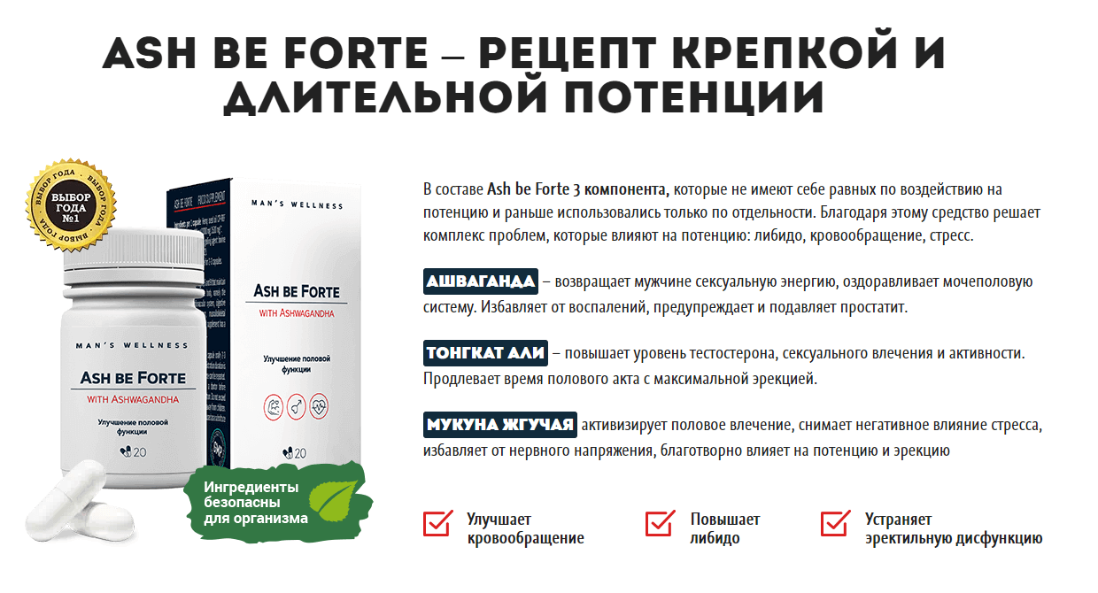 Ash Be Forte – состав Ash Be Forte – состав