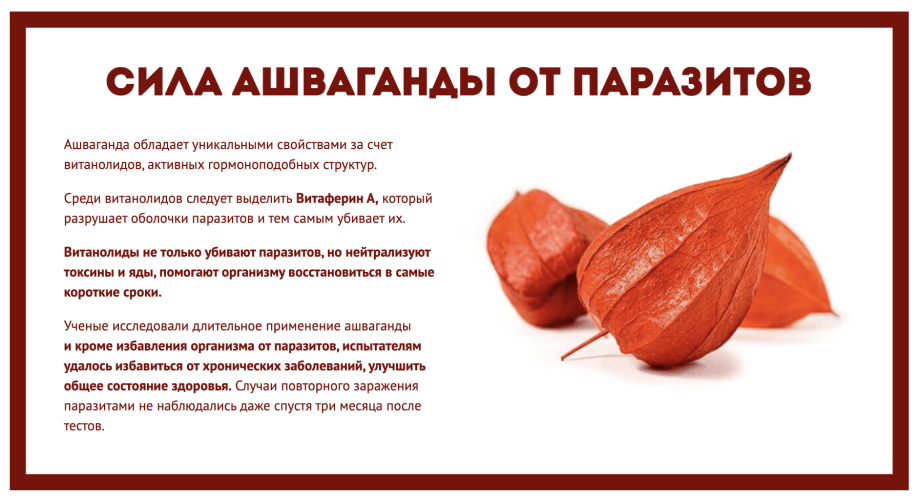 Ashwamin – состав Ashwamin – состав