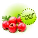 Боярышник в составе Гипертофорт