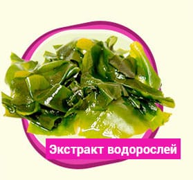 vodorosly