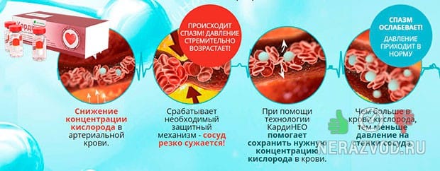 Кардинео биосреда для гипертоников