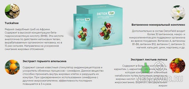 Detoxfield Π΄Π»Ρ ΡΠ½ΠΈΠΆΠ΅Π½ΠΈΡ Π²Π΅ΡΠ°