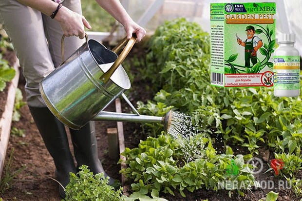 Garden Pest от сорняков