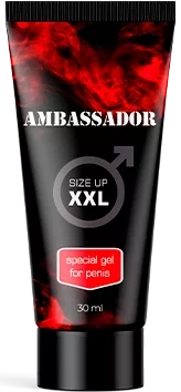 ΠΠ΅Π»Ρ Ambassador