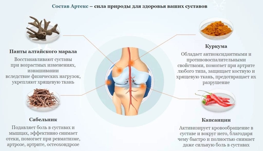 Артекс - состав мази для суставов