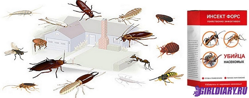 Вред жильцам от бытовых насекомых