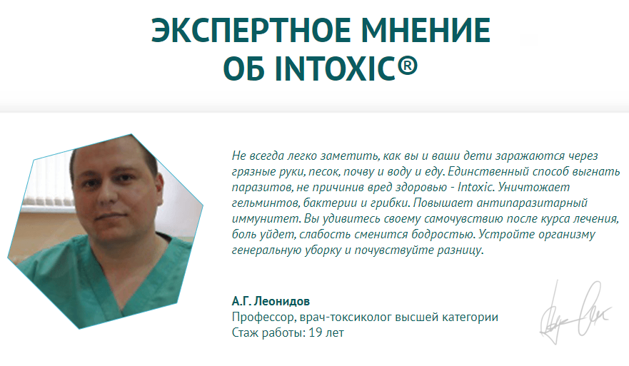 Интоксик – экспертное мнение