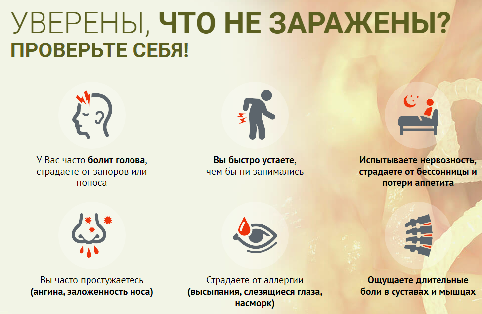 Интоксик – признаки инвазии