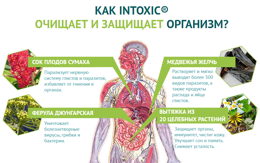 Интоксик – состав