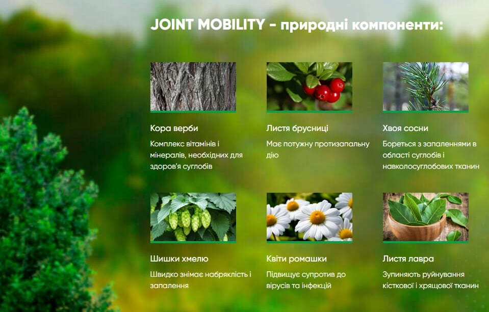 Joint Mobility состав