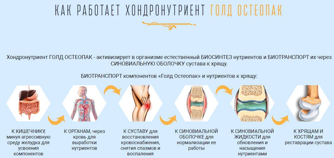 как работает хондронутриент голд остеопак