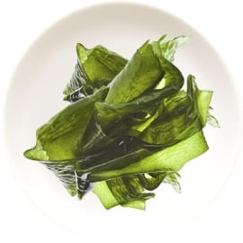 laminaria_2