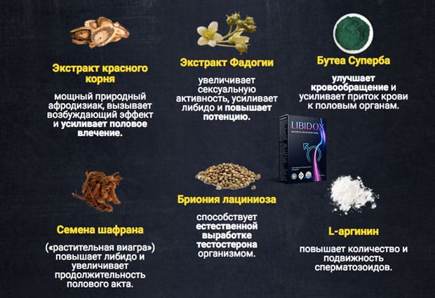 состав libidox