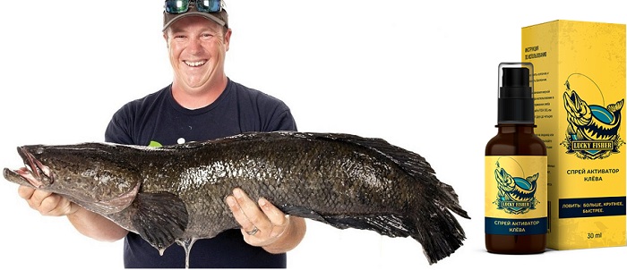 Lucky Fisher активатор клева: миллионы довольных рыболовов во всем мире!
