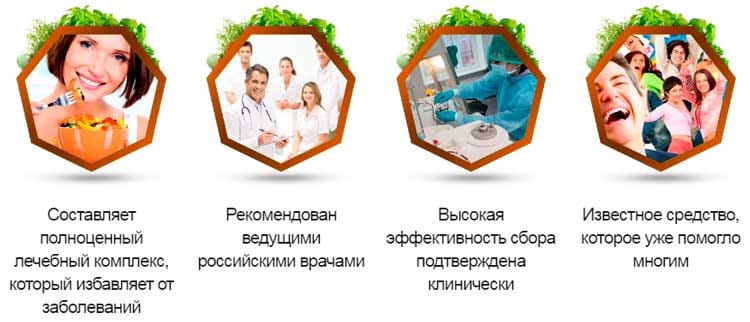 Преимущества  Монастырского сбора отца Георгия