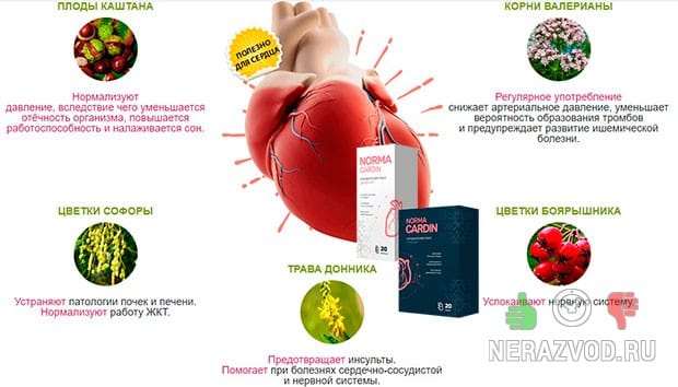 NormaCardin для поддержания сердечно-сосудистой системы
