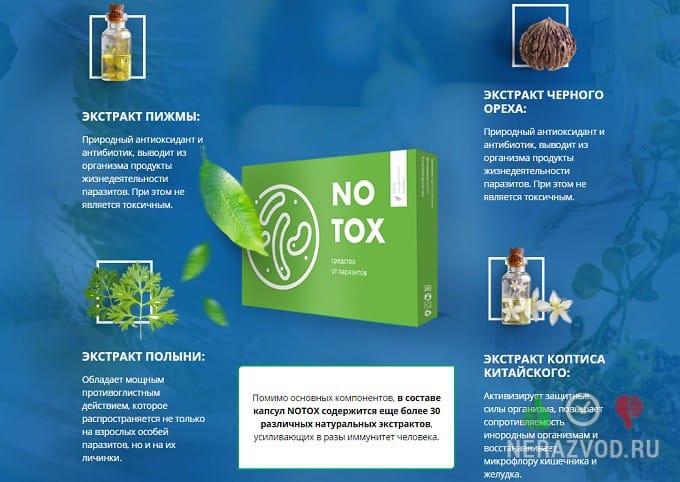 Notox состав