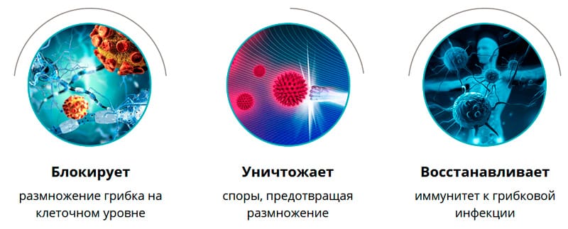 Результаты работы Варанги от грибка