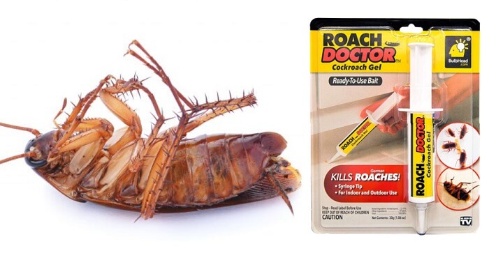 Roach Doctor от тараканов: содержит вирус и любимую еду насекомых!