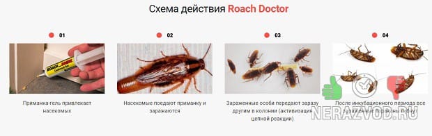Тараканы в доме