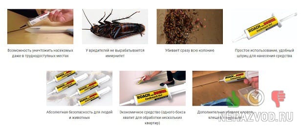 Приманка-гель Роуч Доктор