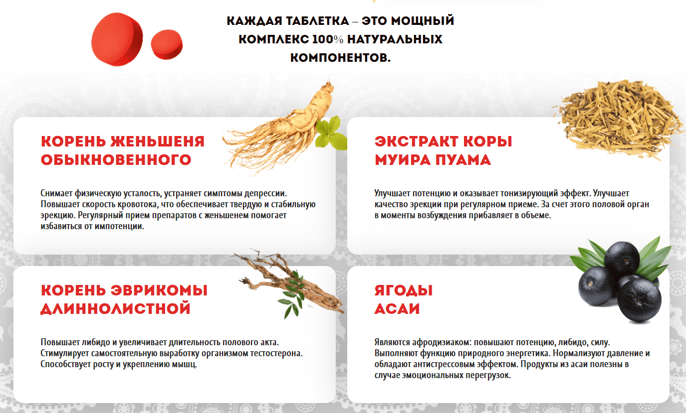 Сила Султана – состав Сила Султана – состав