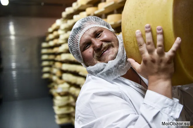 Сколько получится сыра и особенности производства