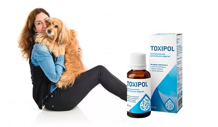 Toxipol от паразитов: уже через месяц вы почувствуете значительные улучшения состояния здоровья!