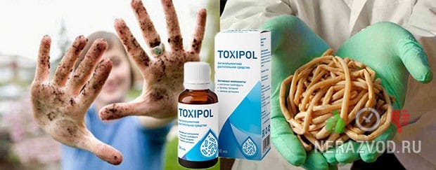 Токсипол от глистов и паразитов