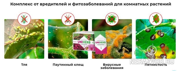 удобрение для комнатных и уличных растений