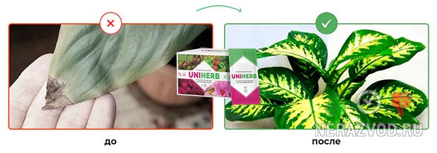 Uniherb средство для защиты растений