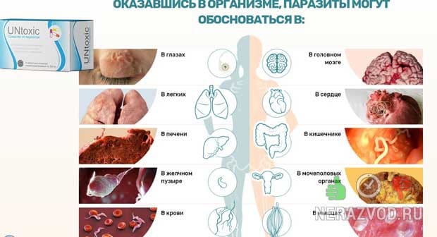Π£Π½ΡΠΎΠΊΡΠΈΠΊ - ΠΊΠΎΠΌΠΏΠ»Π΅ΠΊΡ Π΄Π»Ρ ΠΎΡΠΈΡΠ΅Π½ΠΈΡ ΠΎΡΠ³Π°Π½ΠΈΠ·ΠΌΠ°