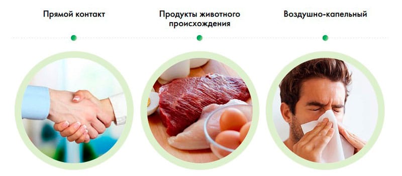 Как распространяются вирусы